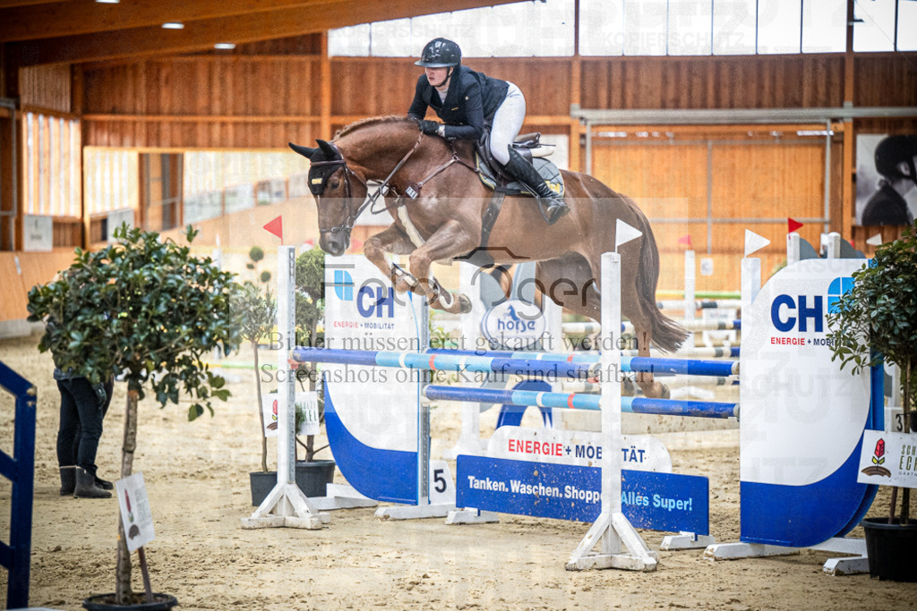 DOS_1452 | Entdecke hochwertige Reitturnierfotos von Foto Oger. Professionell, emotional und authentisch – jetzt Lieblingsmomente im Shop bestellen.Deutschlandweite Turnierfotografie. - Realisiert mit Pictrs.com