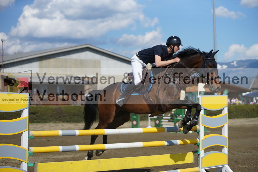 DSC03246 | equestrian-live-com