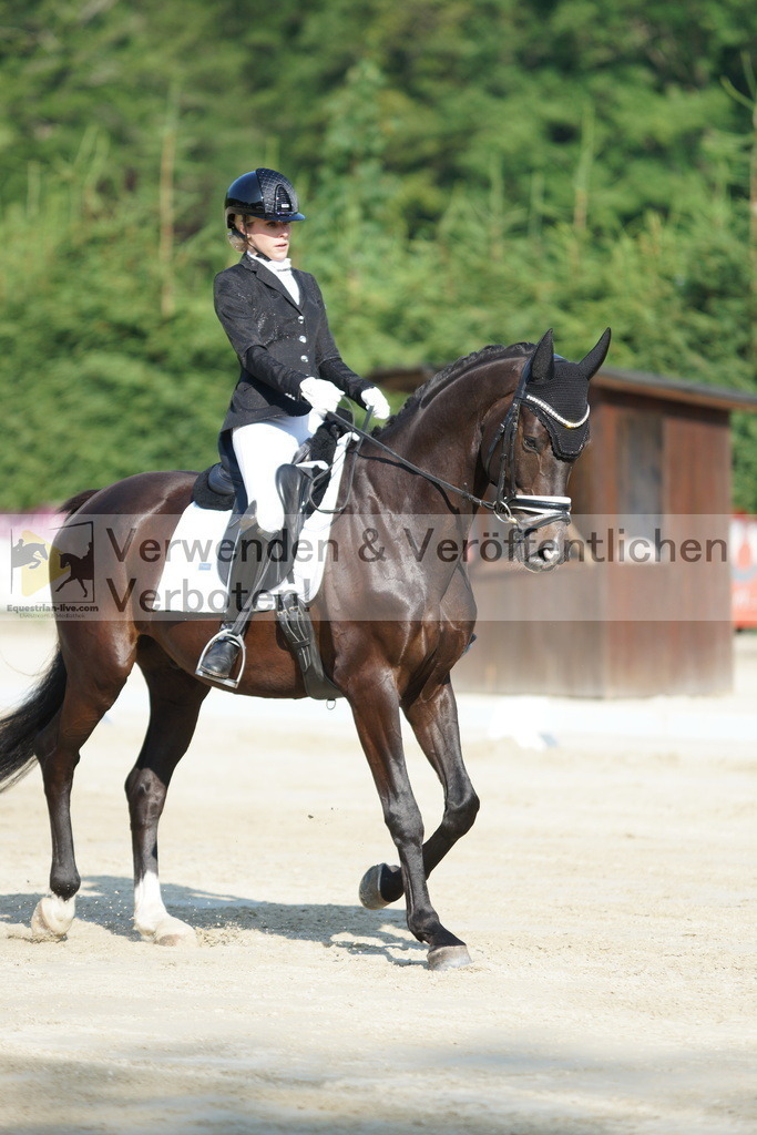 DSC01277 | equestrian-live-com