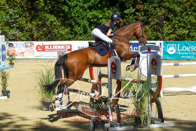 DKP43264 | Turniersportfotografie; Pferdefotografie; Dressurfotografie