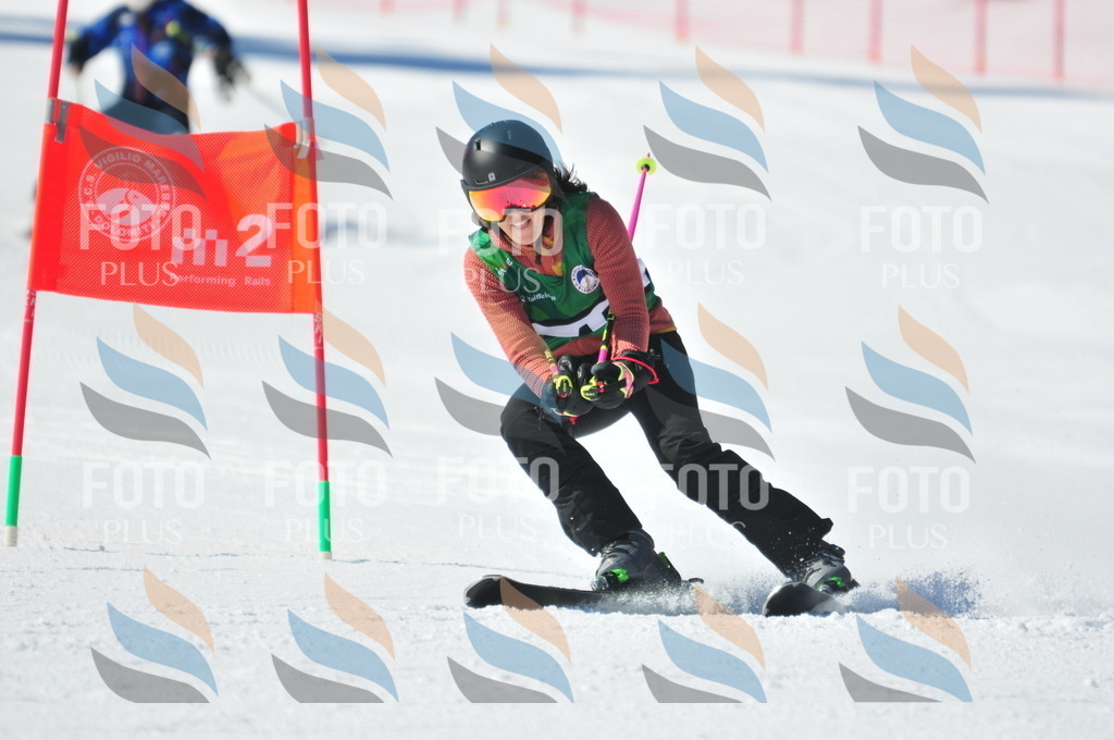 C3989 | holidayphoto