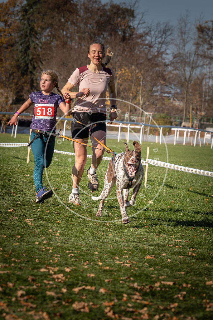 CaniXpix_0L8A7018 | Hundefotografie, Tierfotograf, Pfotenfotografie, Fotoshooting Hund, Hunde Portrait, Hundesport, Hundeportraits, Heideshooting, Hunde, Sportfotograf, Hundefotograf, Turnierhundsport, THS,  - Realisiert mit Pictrs.com