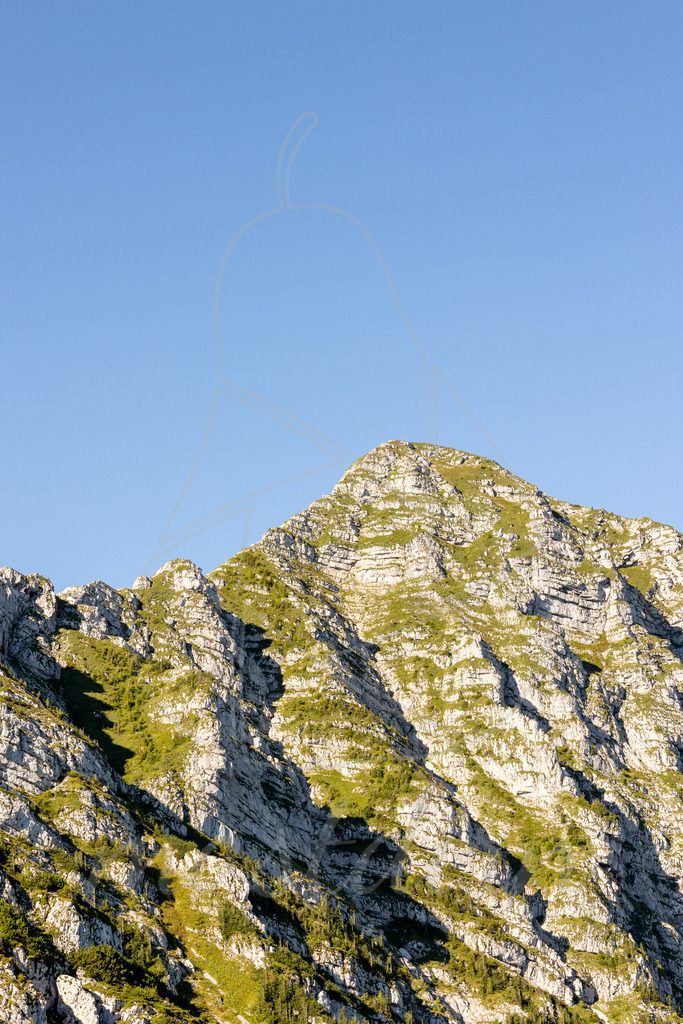 Rauher Kamm | Ihre Fotografin im Lungau, ihre Fotografin im Mostviertel, Wandbilder Onlineshop, Imagefotos für Ihr Unternehmen,  - Realisiert mit Pictrs.com