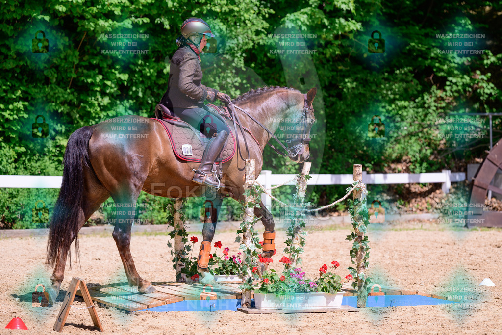 03052026-Giesenbach-05-Stiltrail-0400 | Fokus Hufschlag Fotografie - Realisiert mit Pictrs.com