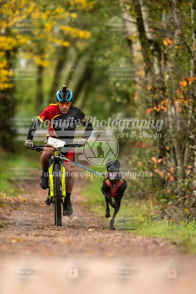TSB_2023_E4_Bike-10 | PayLife