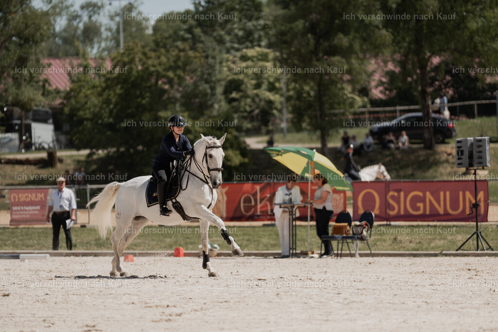 WE_SP_Stoib_341_PI2025_2098 | Pferd International München 2025