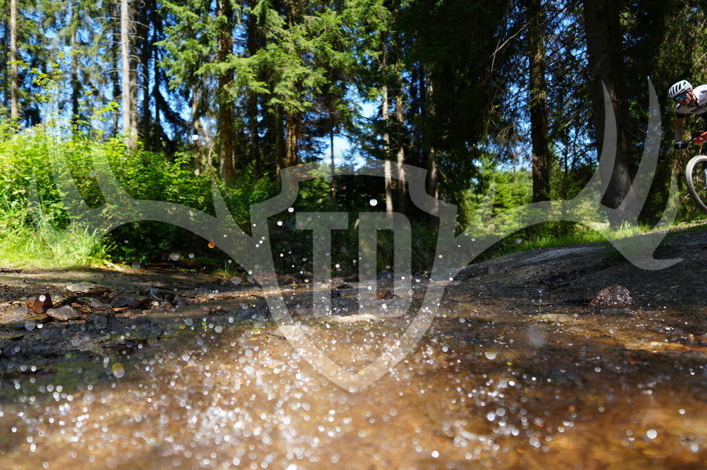 FC604797 | Fotogalerie der Treibjagd im Dunkelwald - Dein MTB Etappenrennen im Erzgebirge - Realisiert mit Pictrs.com