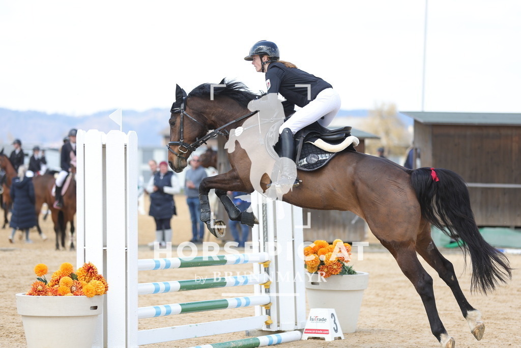 0P6A7474 | Willkommen bei Brunnmayr - Design & Fotografie – Ihrem Spezialisten für Reitturniere und Pferdeveranstaltungen in Oberösterreich, Salzburg und Bayern! Seit über 17 Jahren sind wir leidenschaftlich dabei.