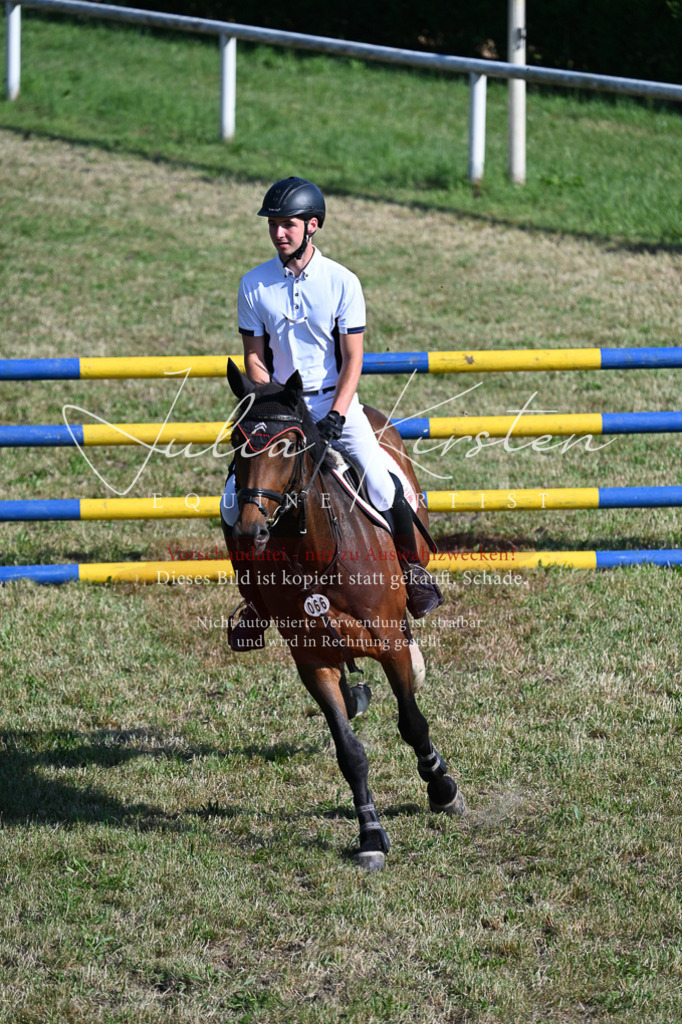 DSC_2514 | Pferde- und Turnierfotografie in Westsachsen. Pferdeportraits, Auftragszeichnungen und intuitive Kunst.