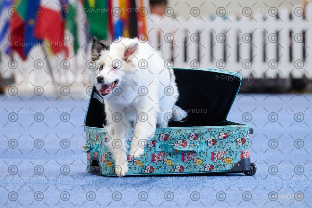 202406_ÖKV-IHA-Tulln24_DSC_4536 | proPHOTO - Realisiert mit Pictrs.com