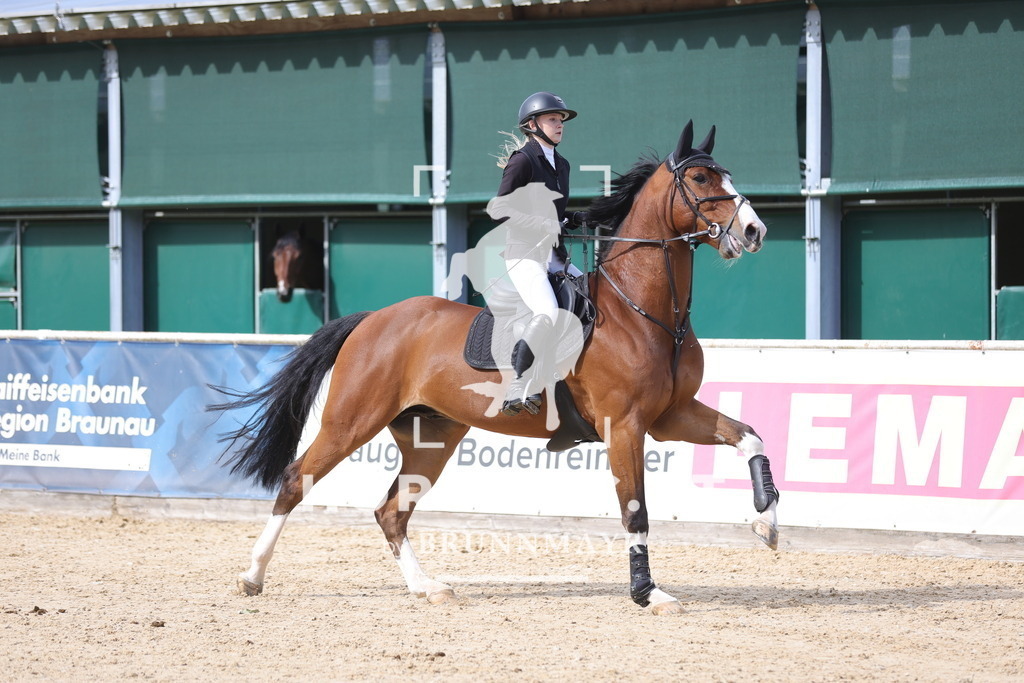 0P6A9614 | Willkommen bei Brunnmayr - Design & Fotografie – Ihrem Spezialisten für Reitturniere und Pferdeveranstaltungen in Oberösterreich, Salzburg und Bayern! Seit über 17 Jahren sind wir leidenschaftlich dabei.