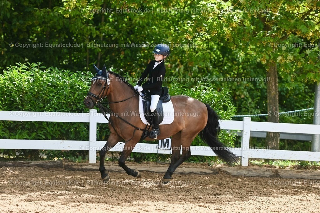 20230716_10-3_Reiter-WB Schritt - Trab - Galopp_0051 | equistock