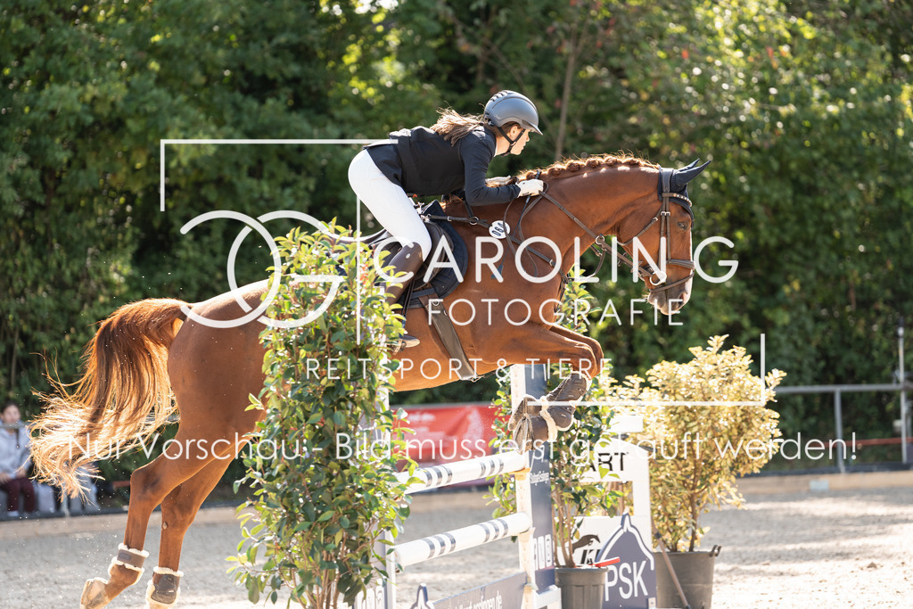 DSC02066 | Carolin Gieschke