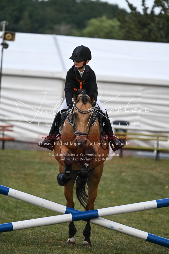 DSC_5617 | Pferde- und Turnierfotografie in Westsachsen. Pferdeportraits, Auftragszeichnungen und intuitive Kunst.