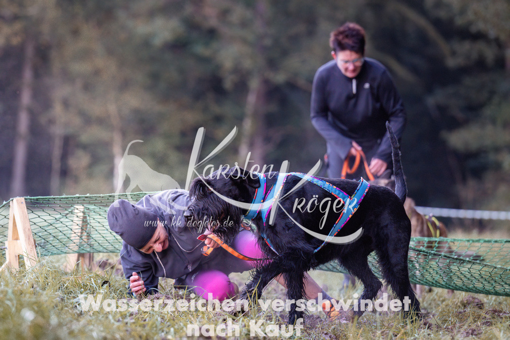 0830_ZZ90491 | kk-dogfotos