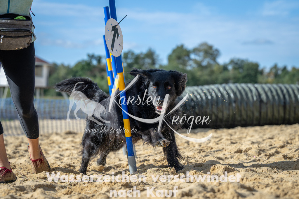 1437_ZZ91772 | kk-dogfotos