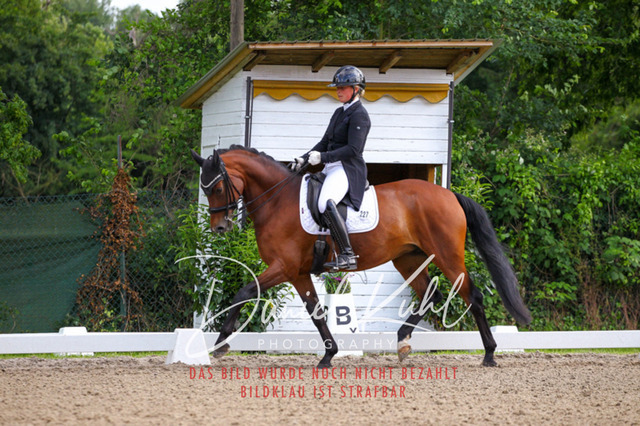 DKP41622 | Deine Turnierfotos vom Reitturnier online kaufen: Dressur, Springen & Siegerehrung. Professionelle Pferdefotografie aus dem Rheinland – als Download & Print.Alternative: Turnierfotograf für den Pferdesport: Finde deine Fotos von Dressur- und Springturnier