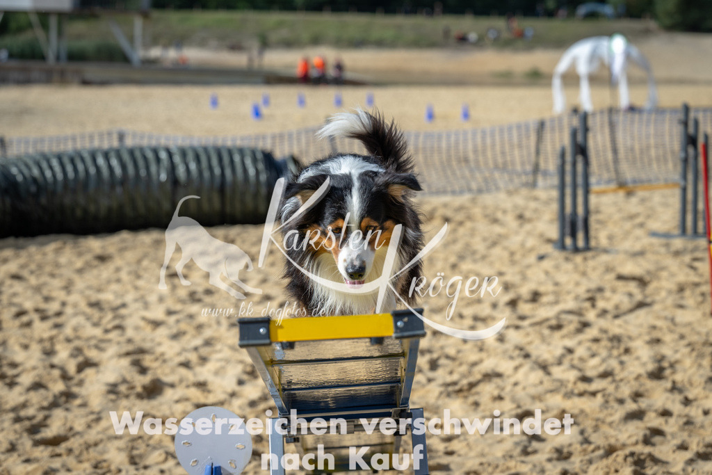 1433_ZZ91581 | kk-dogfotos