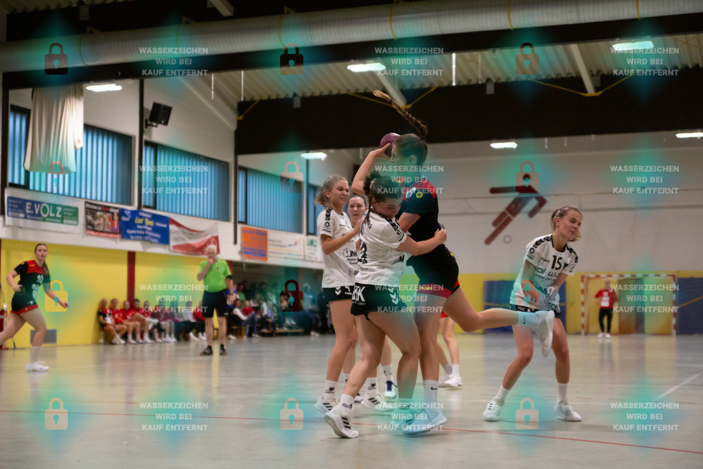 _HP_8516_3000o | Welling 14.10.2023