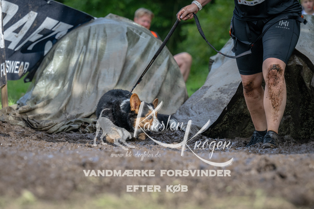 1704_ZZ91011 | kk-dogfotos