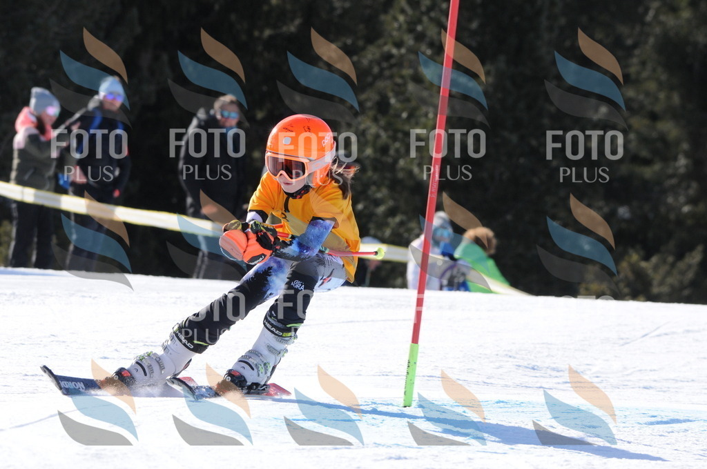 C7047 | holidayphoto