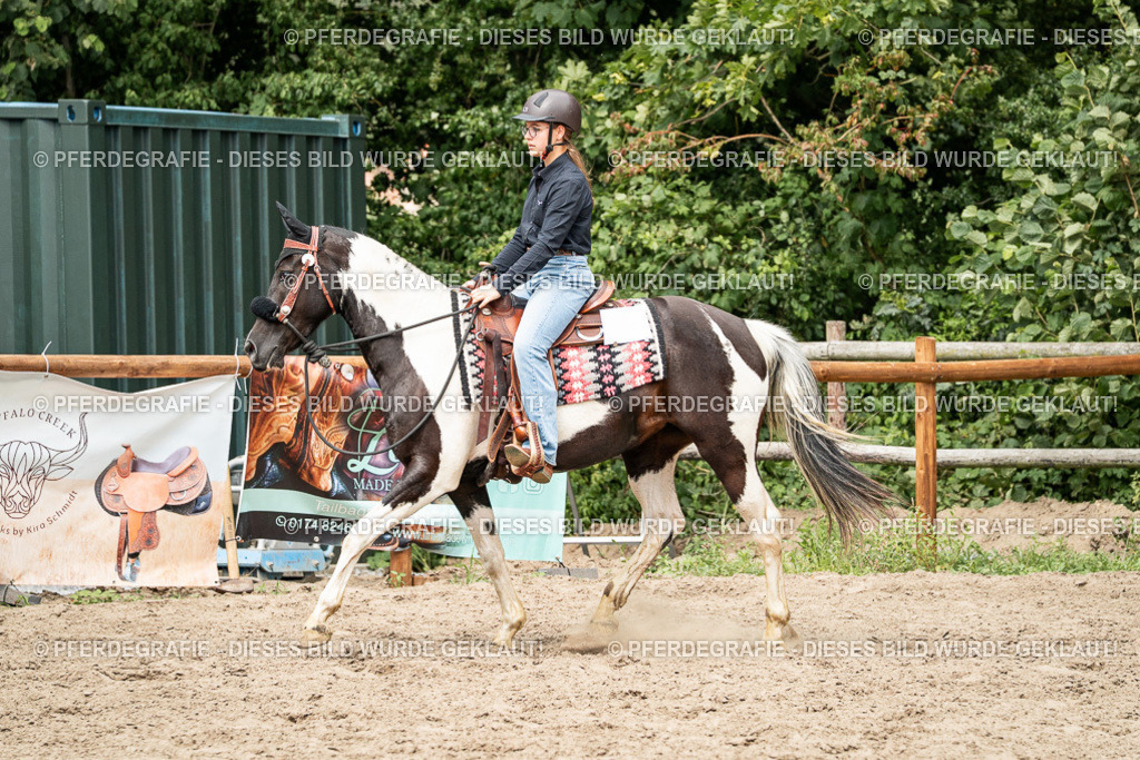 DSC01581 | Pferdegrafie