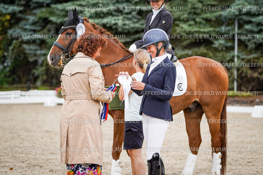 DSC09921 | Pferdegrafie