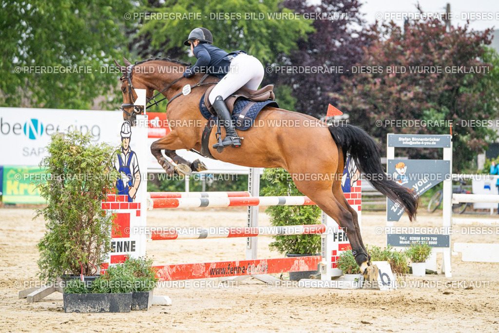 DSC00878 | Pferdegrafie