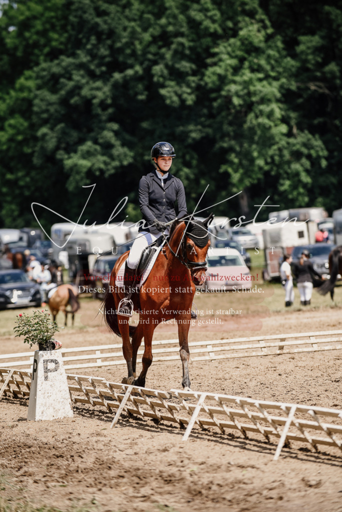 DSC_1747 | Pferde- und Turnierfotografie in Westsachsen. Pferdeportraits, Auftragszeichnungen und intuitive Kunst.