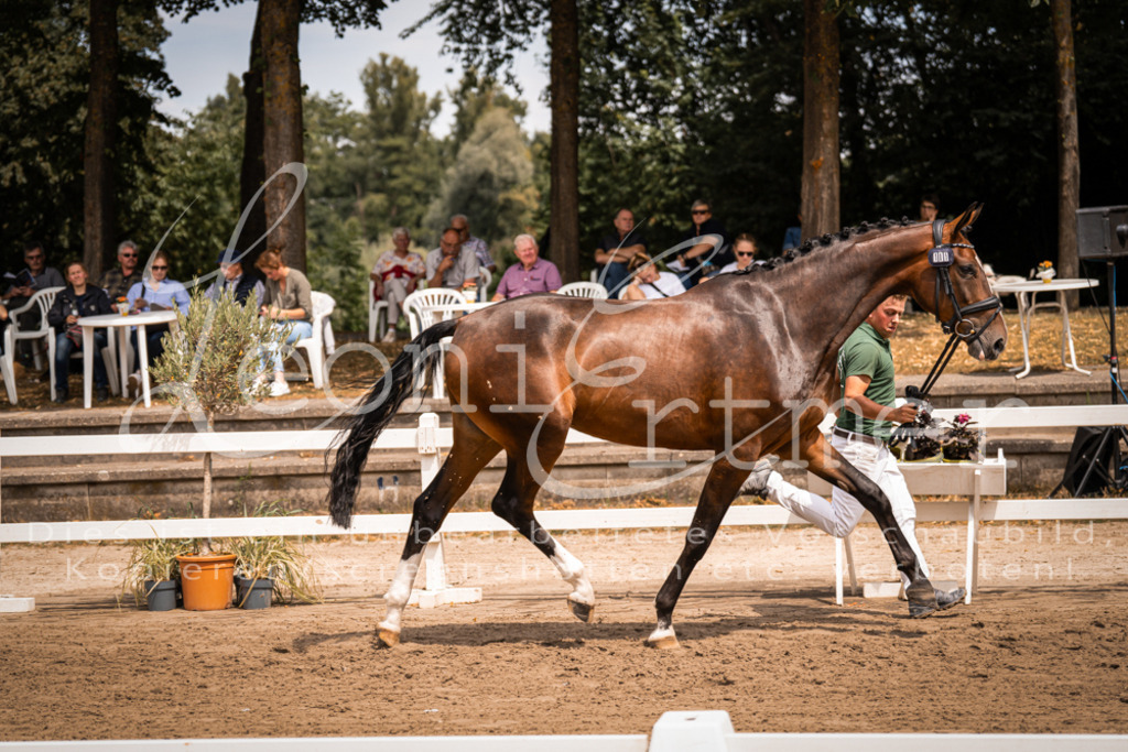 2. Fr00135 | Leoni Ertmer Photography - Realisiert mit Pictrs.com