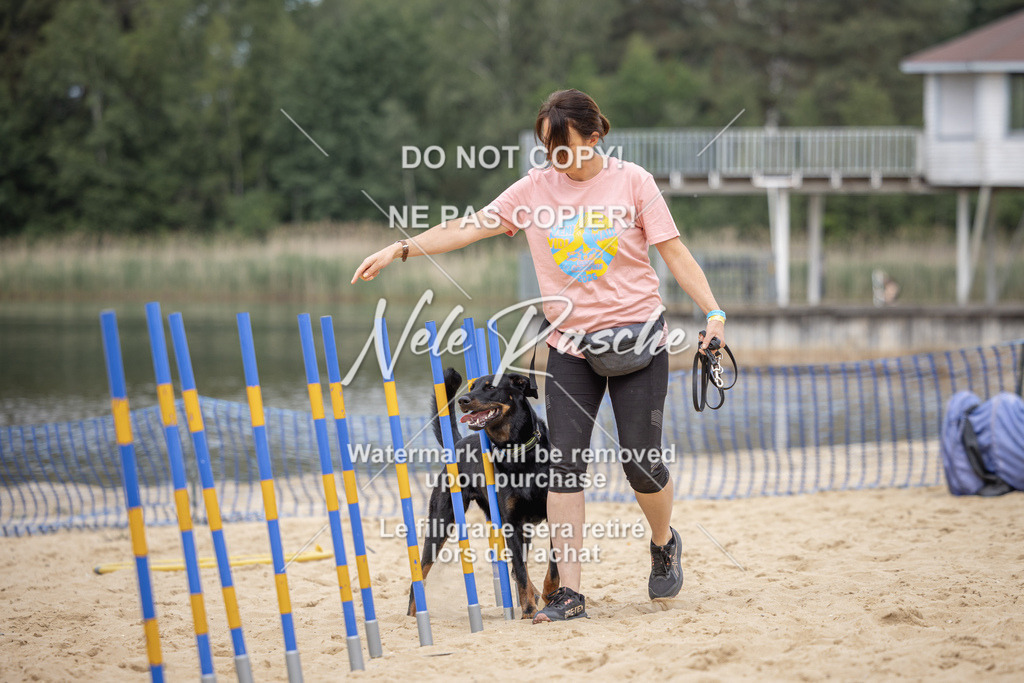nelerasche_BuHu2026_So09-10_341 | nelerasche