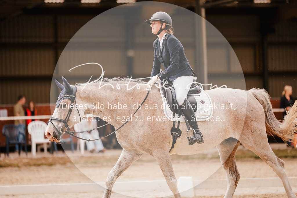 3I6A6194 | Stimmungsvolle Portraits und Reitsportfotografie im Ruhrgebiet und im Münsterland.

Pferdefotografie, Hundefotografie, Tierfotografie, Reportagen, Portraits von Tier und Mensch, Turnierfotografie in Bochum, Recklinghausen, Marl, Haltern am See, Dülmen.. - Realisiert mit Pictrs.com
