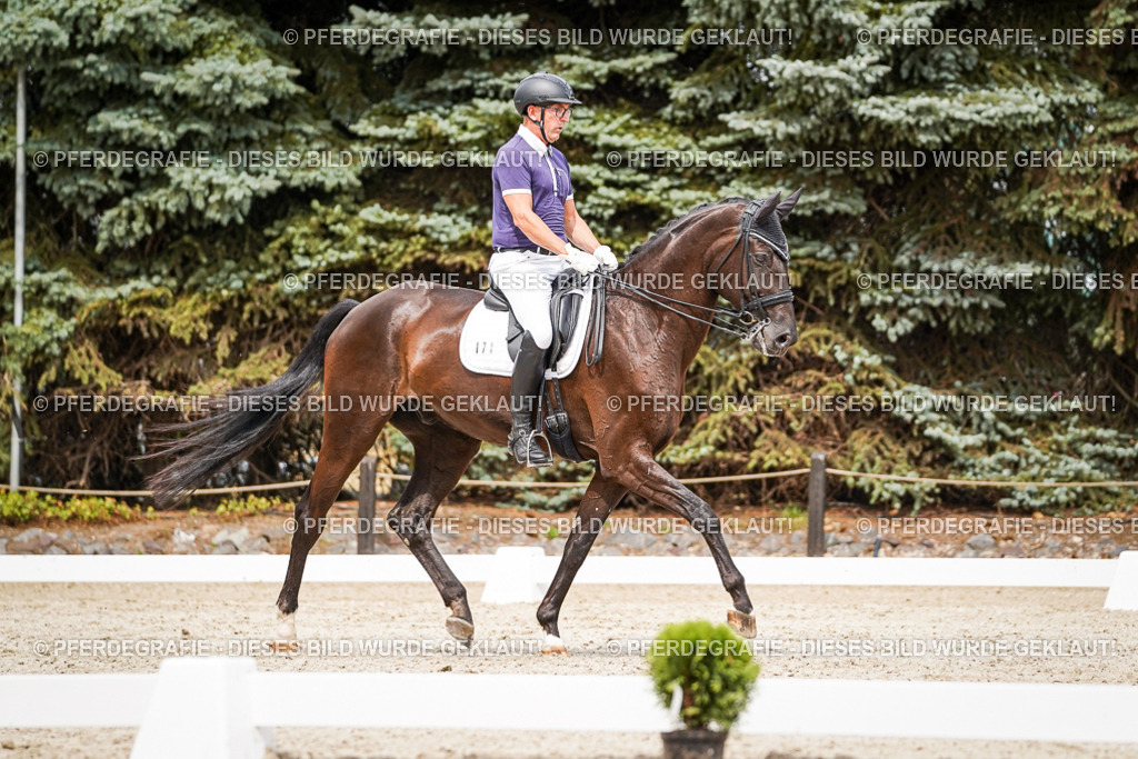 DSC06286 | Pferdegrafie