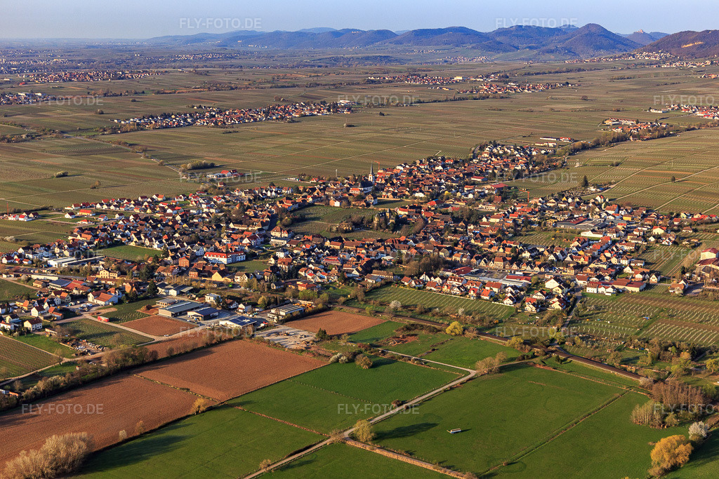 Luftbild: Ortsansicht von Nordosten in Edesheim im Bundesland Rheinland-Pfalz in Deutschland. Foto: IMG_126361.jpg vom 04.04.2021 durch Werner Riehm/FLY-FOTO.de