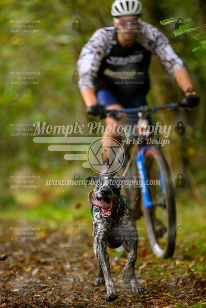 MompixPhotography_20TSB_E1_Bike-62 | PayLife