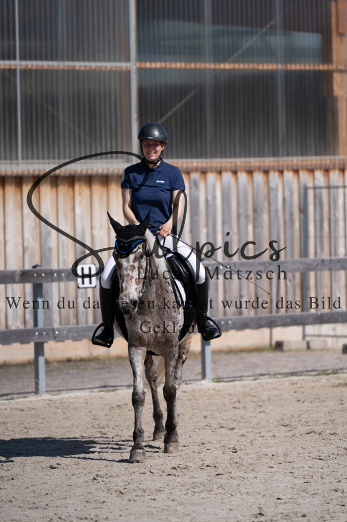 A7V01925 | Pferdefotograf