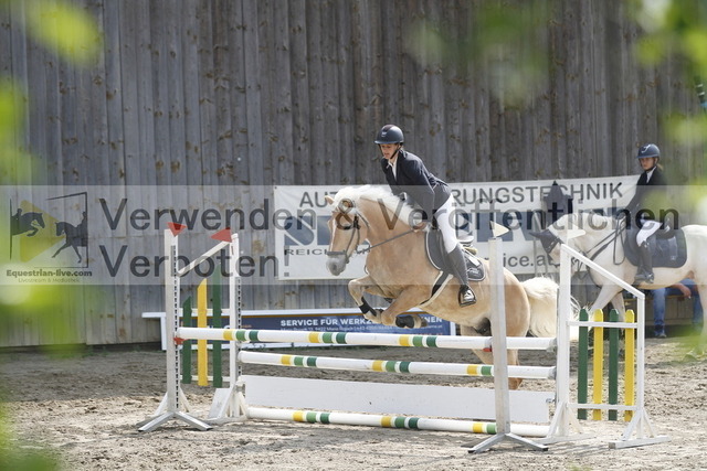 _MG_2904 | equestrian-live-com