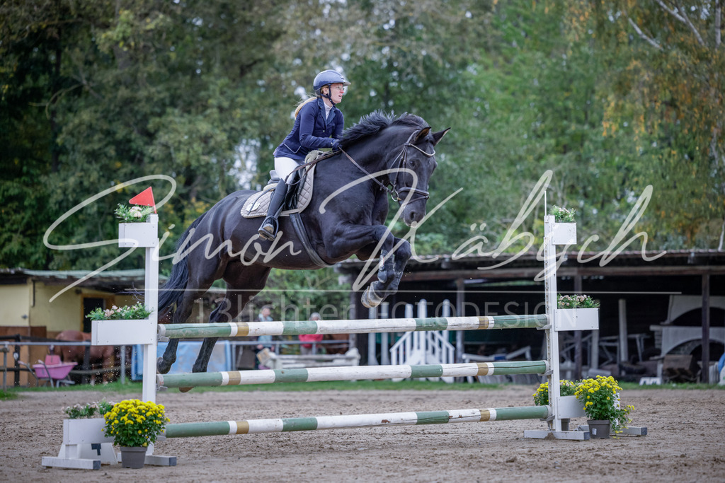 20251012-_3LI5005 | Tierfotografie Pferde, Hunde, Katzen, Haustiere.
Turnierfotografie Reitturniere, Reiten, Springreiten, Dressur in Hanau, dem Main-Kinzig-Kreis und dem Rhein-Main- Gebiet um Frankfurt