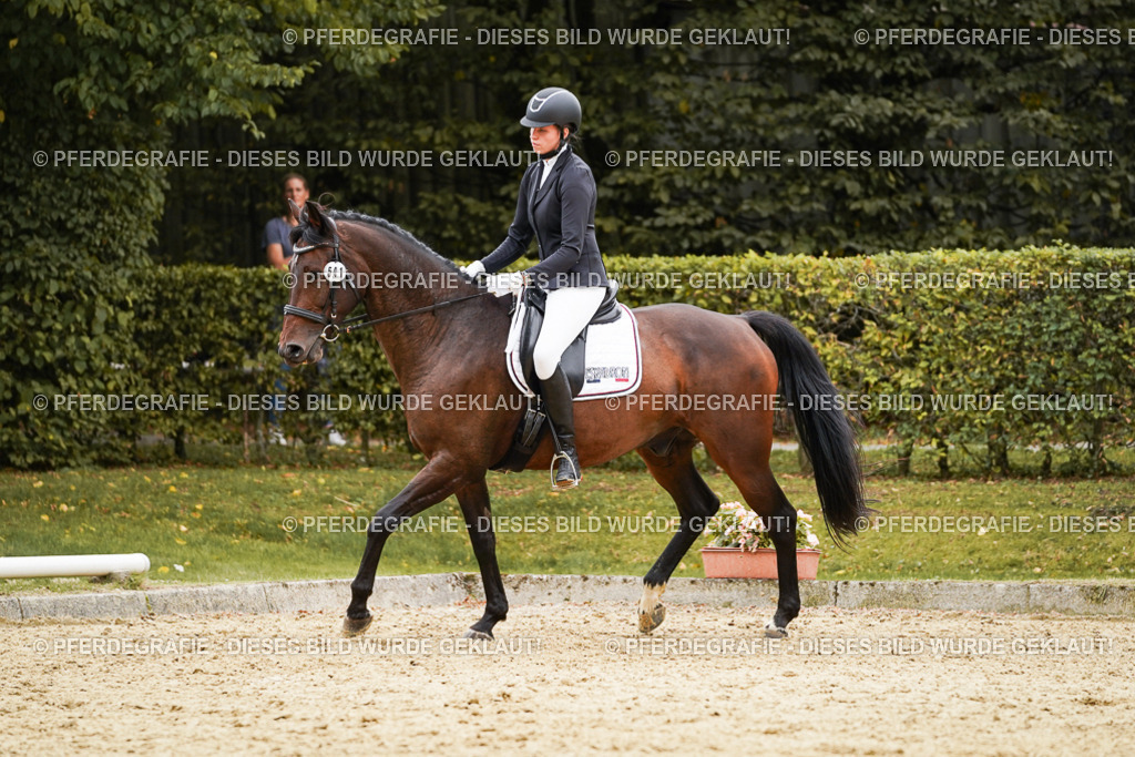 DSC09943 | Pferdegrafie