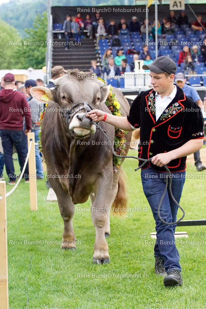 _DSC0469 | René Burch leidenschaftlicher Fotograf aus Kerns in Obwalden.  Hier finden sie Sport, Landschaft und Natur Fotografie.
 - Realisiert mit Pictrs.com