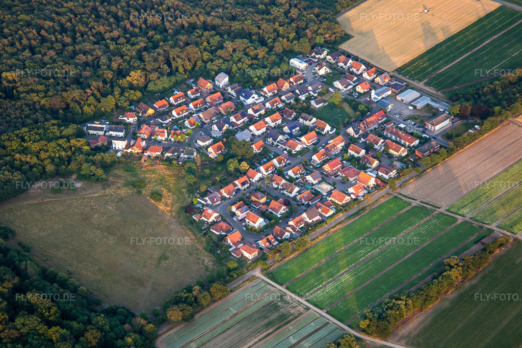 Luftbild: Buchenstr in Schwegenheim im Bundesland Rheinland-Pfalz in Deutschland. Foto: IMG_137254.jpg vom 24.06.2023 durch Werner Riehm/FLY-FOTO.de