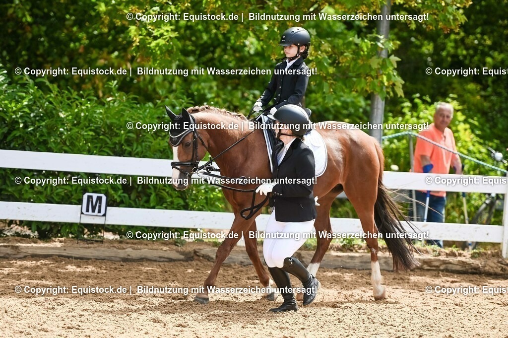 20230716_11_Führzügel-WB_0191 | equistock