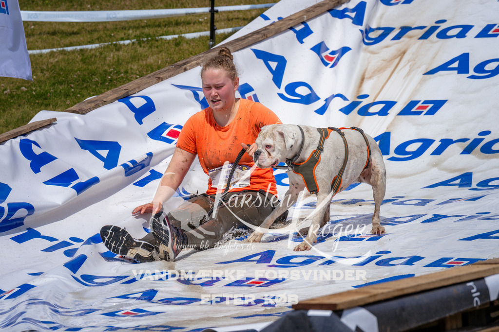 _ZZ979921034 | kk-dogfotos