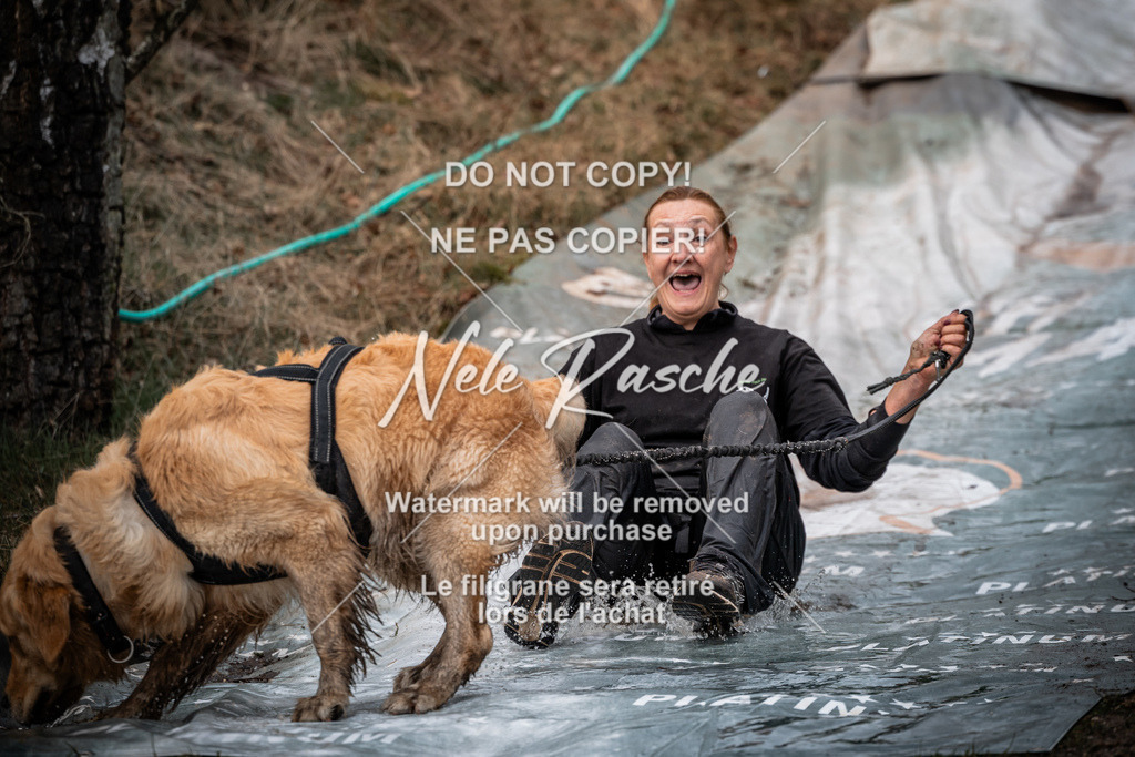 nelerasche_1330-1400_133 | nelerasche