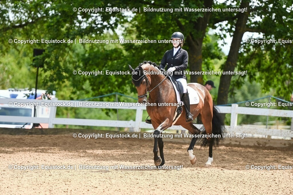 20230716_03_Dressurprfg. Kl.L - Tr._0437 | equistock