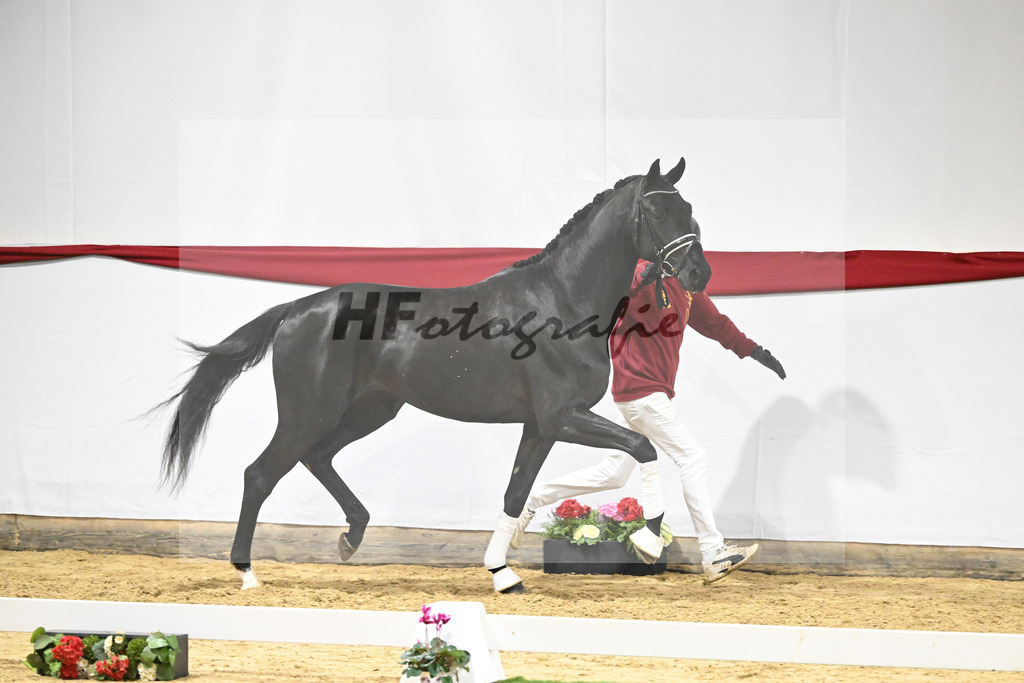 Kat-Nr. 58 v. Donier_Heilemann_63221763 | hf-fotografie - Realizzato con Pictrs.com