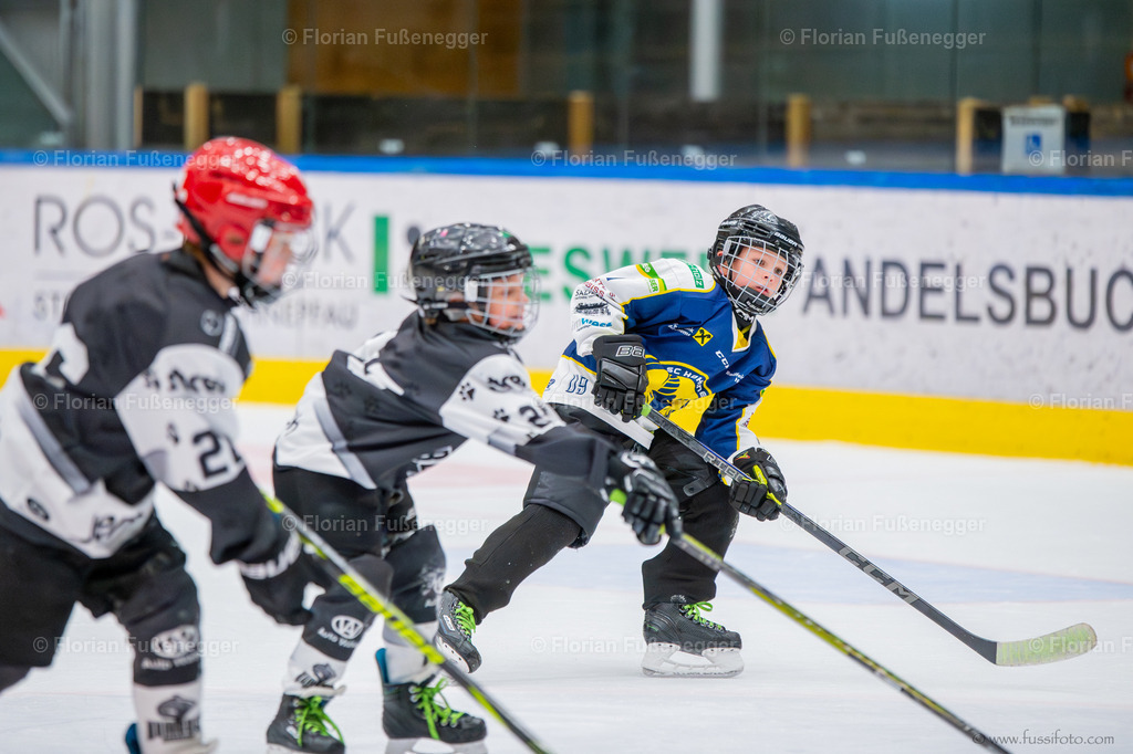 DSC_9437 | "Fussifoto.com – Ihr Ansprechpartner für hochwertige Fotografie! Entdecken Sie kreative Bilder und professionelle Dienstleistungen. Kontaktieren Sie uns für Ihre Projekte!"