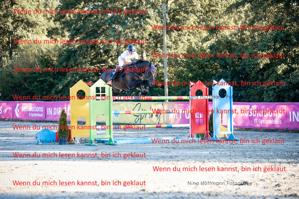 BK1A8853 | Turnierbilder Turnierfotos Nina Hüffmann Turnierfotografie Pferdefotografie Tierzeichnung Haustierzeichnung Pferdezeichnung Hundezeichnung Videograf  - Realisiert mit Pictrs.com