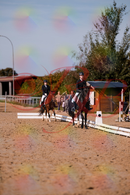2026_10_03_Siefer-Hof_115500_Z81_94831625 | Professionelle Reitsport-, Turnier- und Eventfotografie von Robert Broda. Galerien mit ausgewählten und bearbeiteten Bildern direkt online ansehen und bestellen.