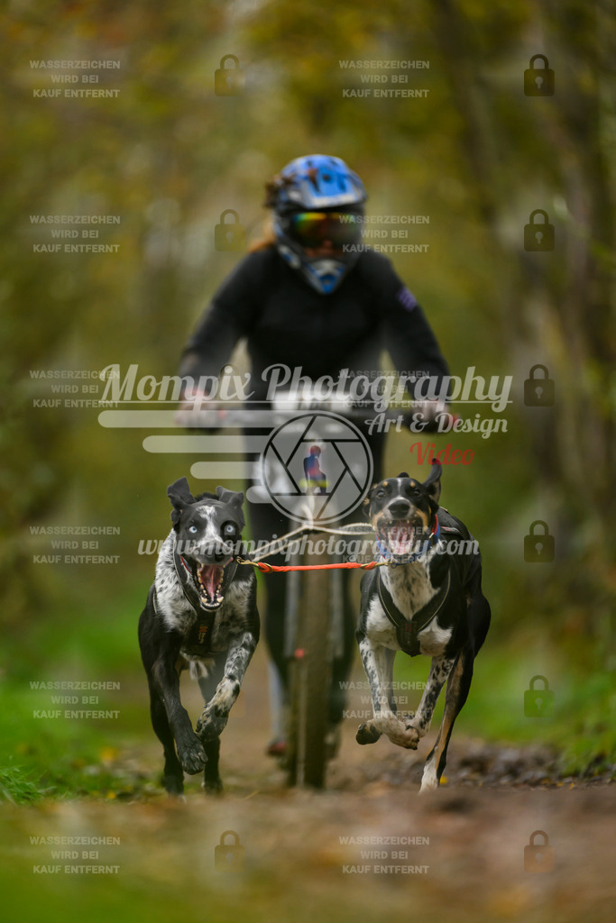 MompixPhotography_20TSB_E6_DS2-17 | PayLife
